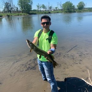 Meet your Posher, Patrick